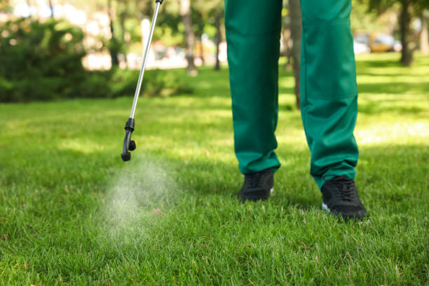 Best Wasp Removal Services  in Avalon, NJ