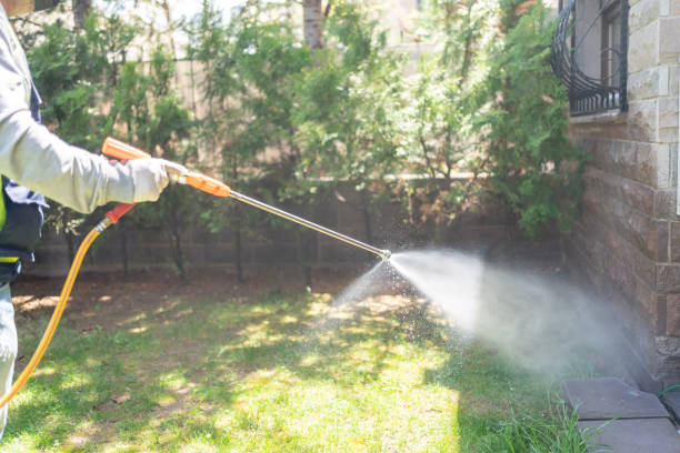 Best Termite Control Services  in Avalon, NJ