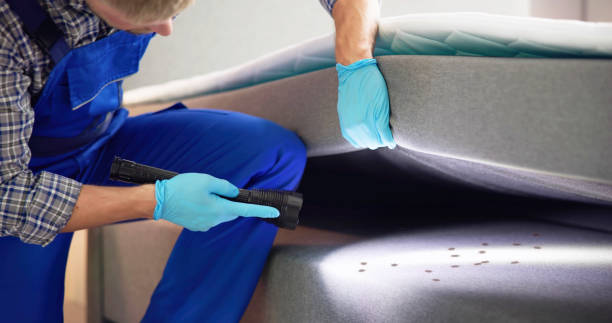 Best Mosquito Control Services  in Avalon, NJ