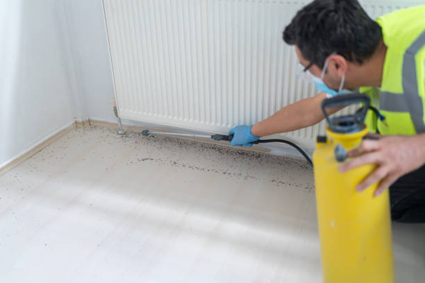 Best Pest Control Near Me  in Avalon, NJ